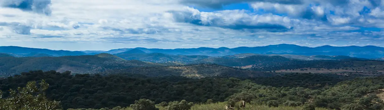 For 50 days, the western coast of Ireland becomes the location of the latest sunset in Europe